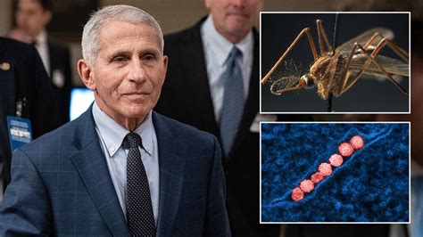 cities in west virginia|What is West Nile, the virus that sent Dr. Anthony Fauci to the .